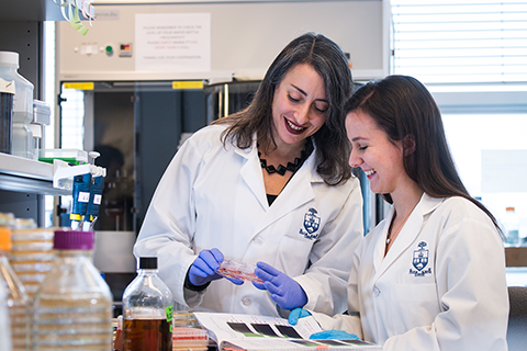 Image shows Professor Leah Cowen studying a sample with a trainee in a lab.